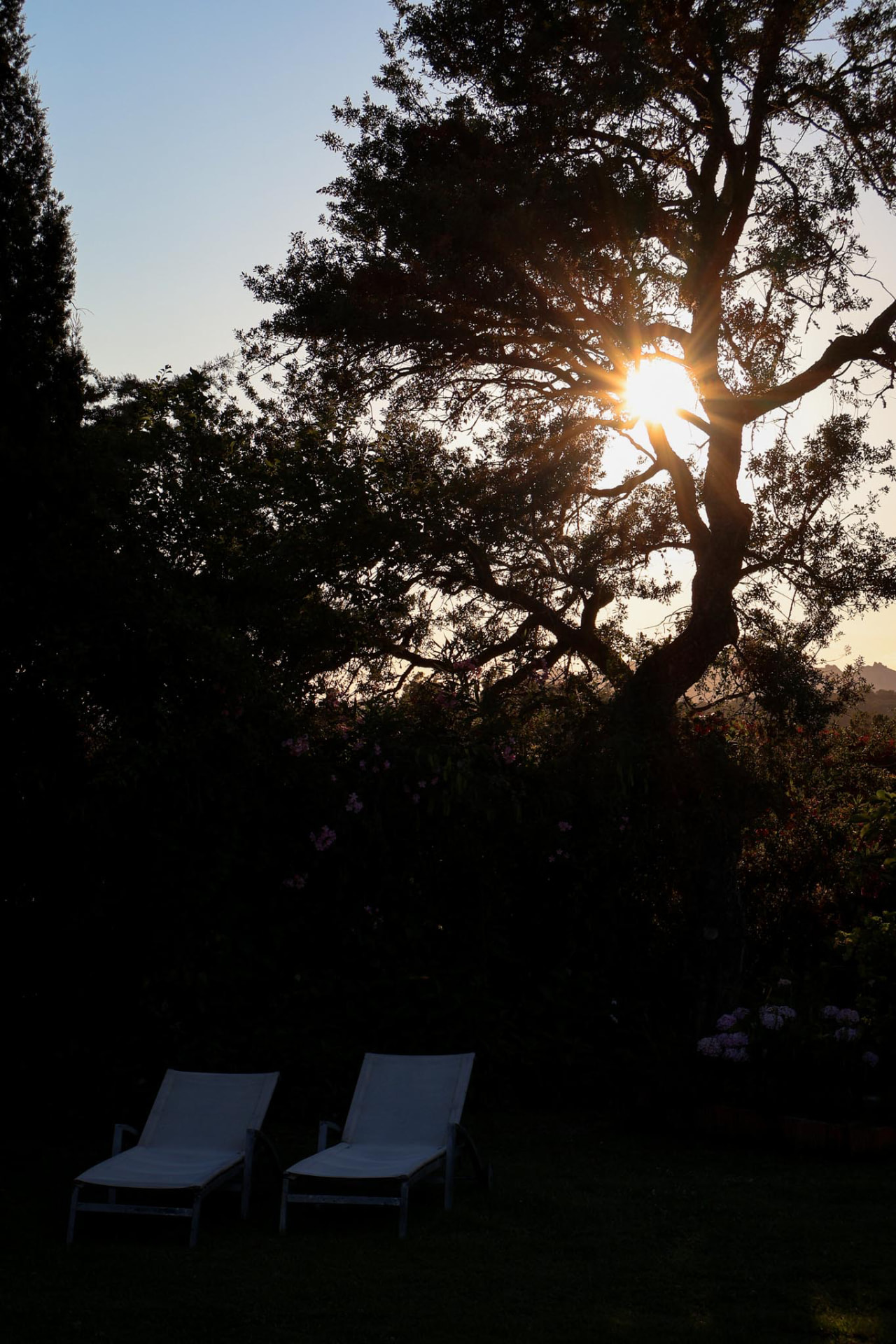 Le sedie a sdraio nel giardino